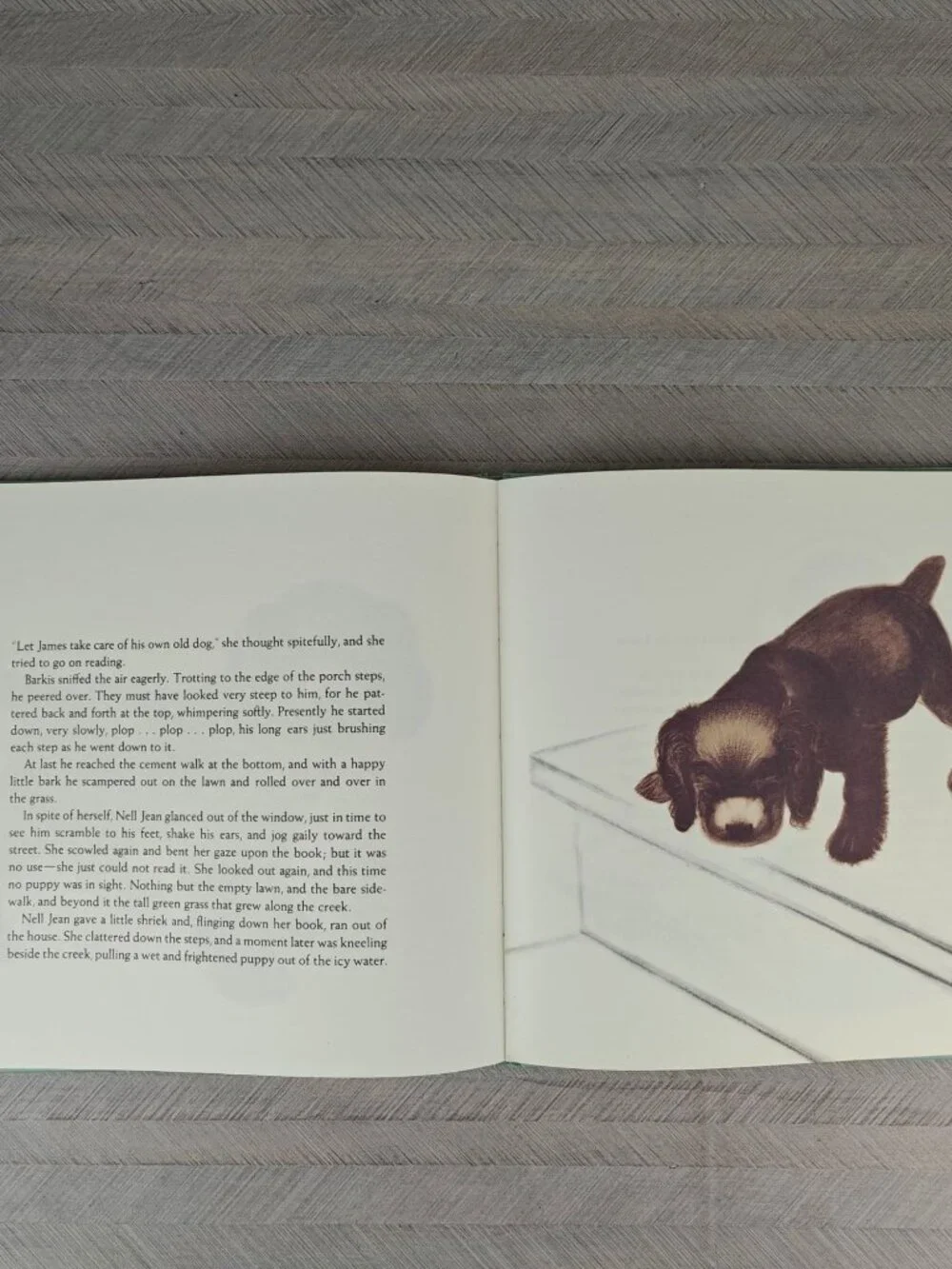 Barkis Clare Turlay Newberry Hardcover 1998 First Smithmark Edition Illustrated